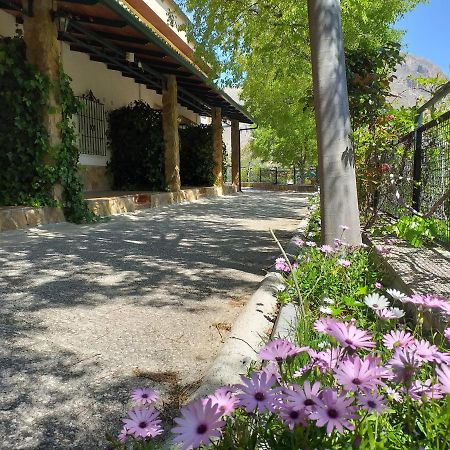 Cortijo El Cercadillo ξενώνας Bedmar y Garciez Εξωτερικό φωτογραφία