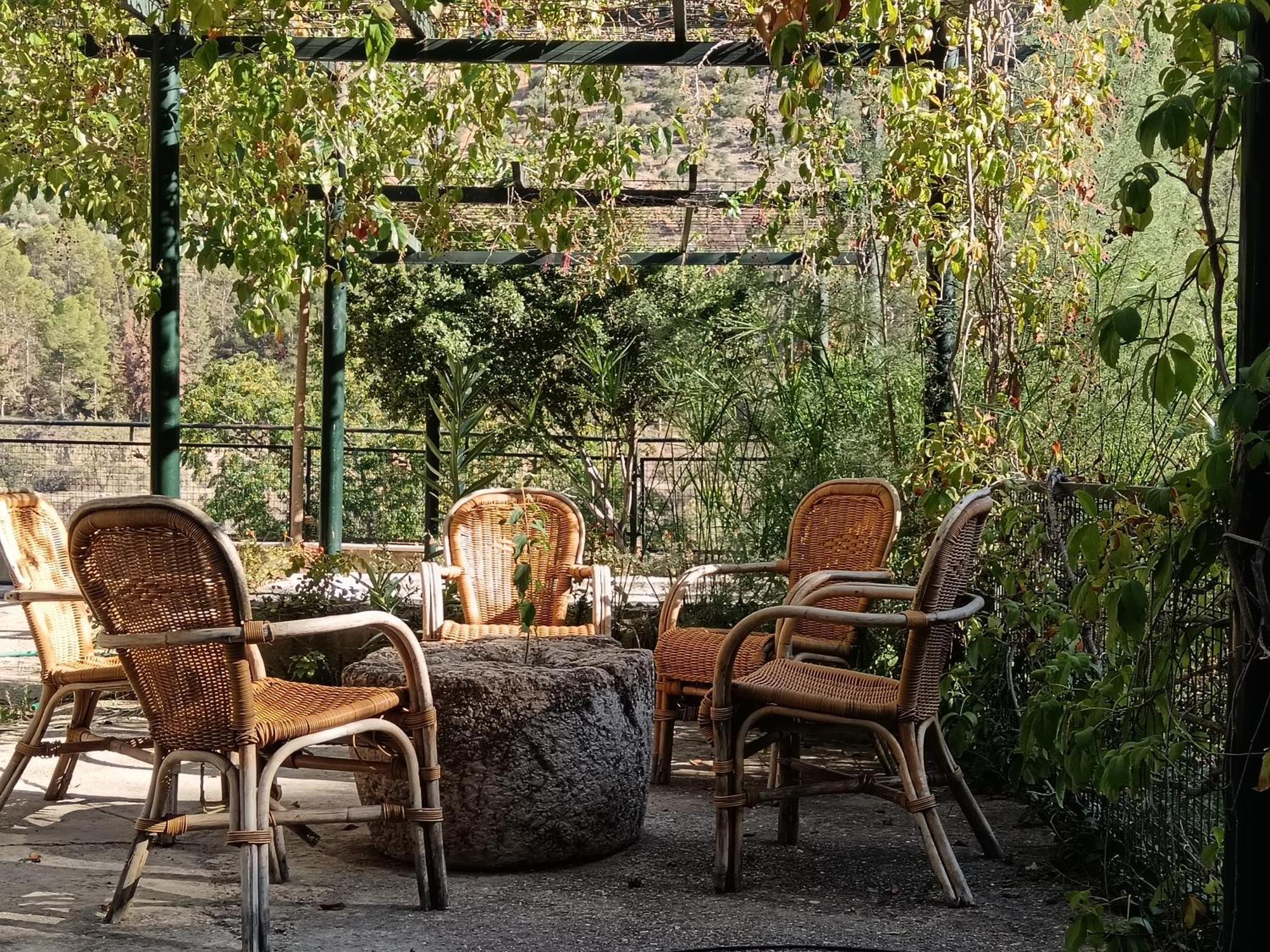 Cortijo El Cercadillo ξενώνας Bedmar y Garciez Εξωτερικό φωτογραφία