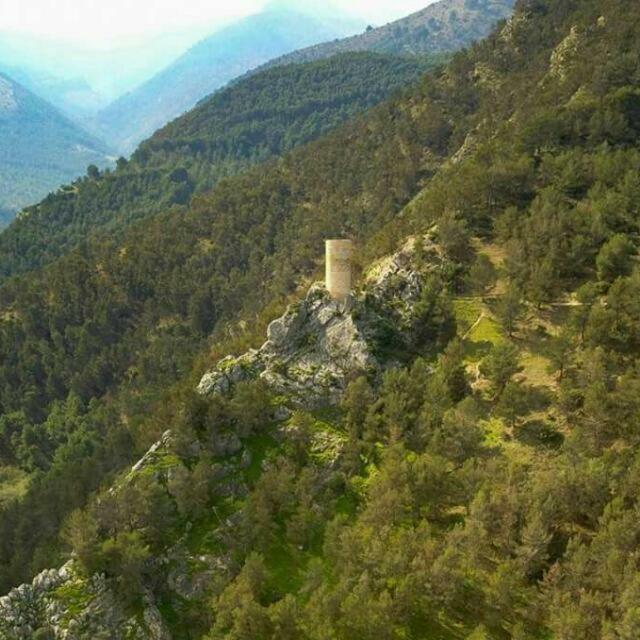 Cortijo El Cercadillo ξενώνας Bedmar y Garciez Εξωτερικό φωτογραφία